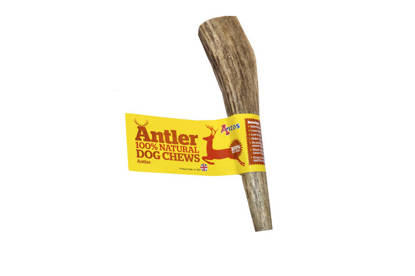 Picture of Antos Antler Dog Chew - Extra Large (220g-270g)