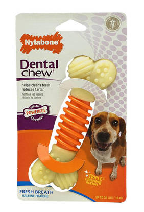 Picture of Nylabone Pro Action Dental - Medium