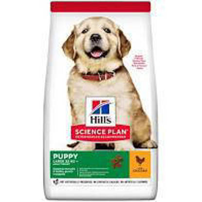 Picture of Hills Science Plan Puppy Large Breed with Chicken 2.5kg