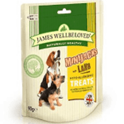 Picture of James Wellbeloved Minijacks (Dog) Lamb 10 x 90g