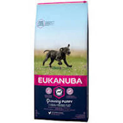 Picture of Eukanuba Growing Puppy Large Breed Chicken - 2kg