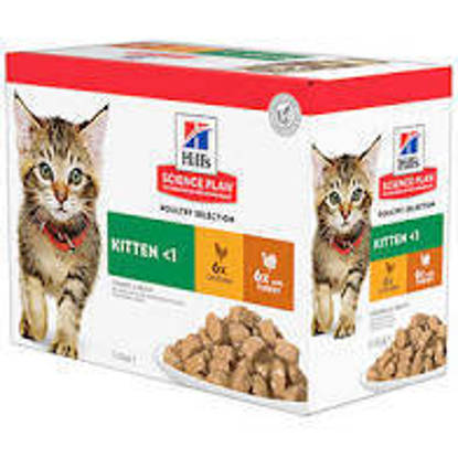 Picture of Hills Science Plan Kitten Wet Food Chicken & Turkey Multipack 12 x 85g
