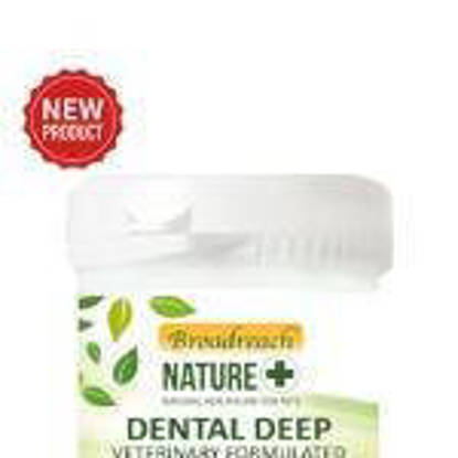 Picture of Broadreach NatureAdvanced Dental Care Caps - Pack 60
