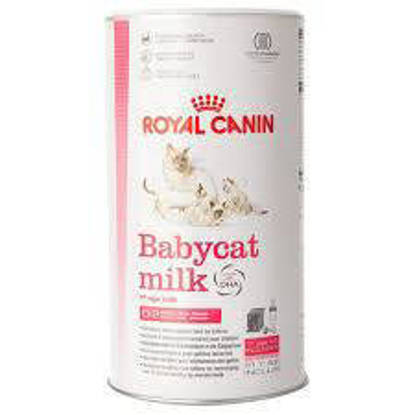Picture of ROYAL CANIN® Babycat Milk Wet Kitten Food 300g