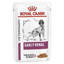 Picture of Royal Canin RCVHN Canine Early Renal Pouches - 48 x 100g