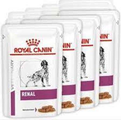 Picture of ROYAL CANIN® Renal Adult Wet Dog Food 12 x 100g (x 4)