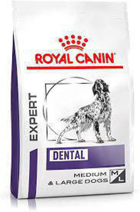 Picture of Royal Canin RCVHN Dog Dental 6kg
