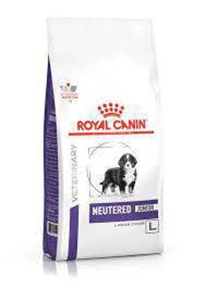 Picture of ROYAL CANIN® Neutered Junior Large Breed Dry Dog Food 4kg