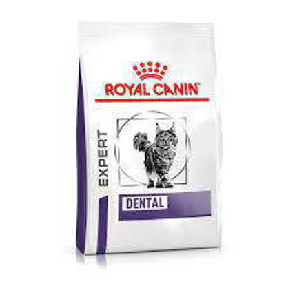 Picture of ROYAL CANIN® Dental Adult Dry Cat Food 1.5kg