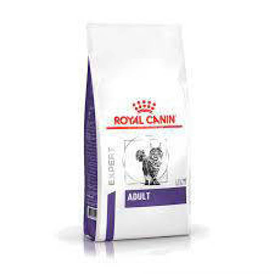 Picture of ROYAL CANIN® Adult Dry Cat Food 8kg