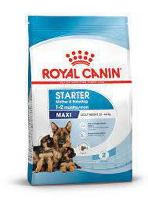 Picture of Royal Canin Maxi Starter - Mother & Babydog - 15kg