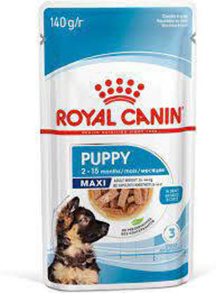 Picture of Royal Canin Maxi Puppy Chunks in Gravy - 40 x 140g