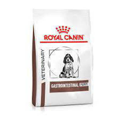 Picture of ROYAL CANIN® Gastrointestinal Puppy Dry Dog Food 10kg