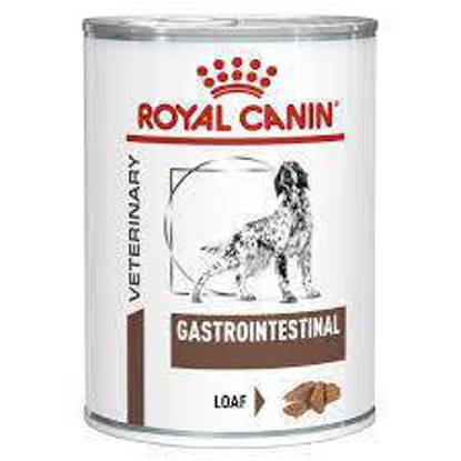 Picture of Royal Canin RCVHN Gastro Intestinal loaf (Dog) tins - 12 x 410g