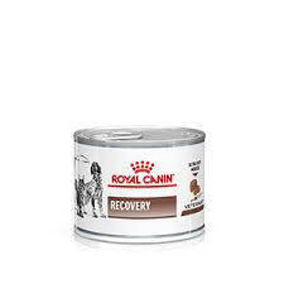 Picture of ROYAL CANIN® Recovery Adult Wet Dog & Cat Food 12 x 195g