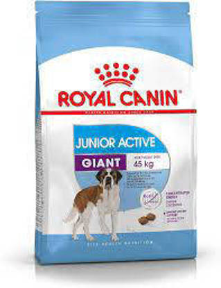 Picture of ROYAL CANIN® Giant Junior Active - 15kg