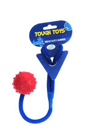 Picture for manufacturer Tough Toys