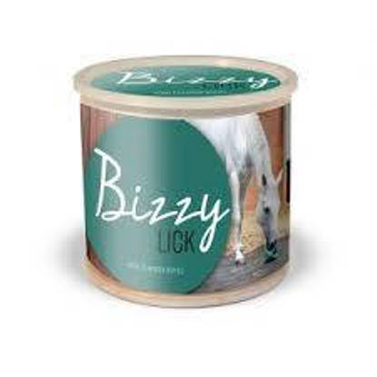 Picture of Bizzy Horse Toy  Lick Refill - Mint