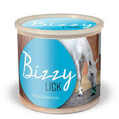 Picture of Bizzy Horse Toy  Lick Refill - Original